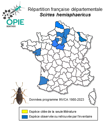 Carte de distribution de Scirtes hemisphaericus (Linné, 1767)