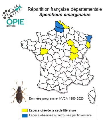 Carte de distribution de Spercheus emarginatus (Schaller, 1783)