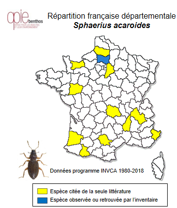 Carte de distribution de Sphaerius acaroides Waltl, 1838