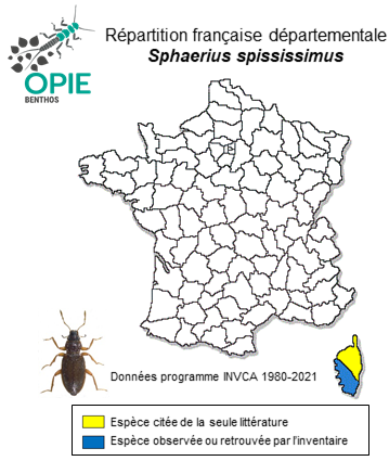 Carte de distribution de Sphaerius spississimus Lesne, 1935