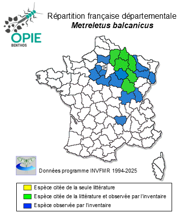 Carte de distribution de Metreletus balcanicus (Ulmer, 1920)