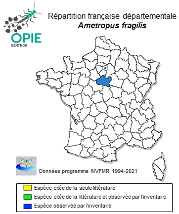 Carte de distribution de Ametropus fragilis Albarda, 1878