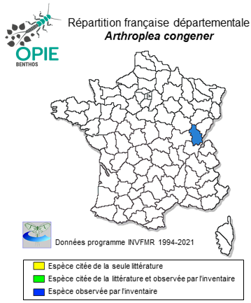 Carte de distribution de Arthroplea congener Bengtsson, 1908