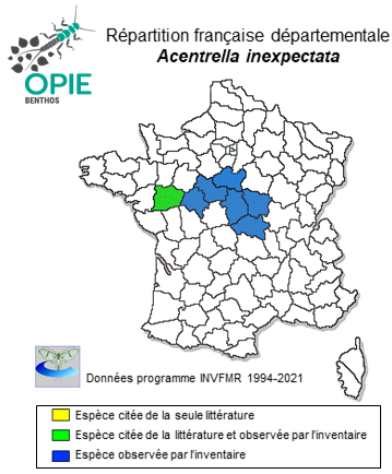 Carte de distribution de Acentrella inexpectata (Tshernova, 1928)