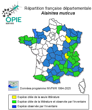 Carte de distribution de Alainites muticus (Linnaeus, 1758)