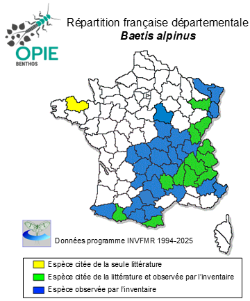 Carte de distribution de Baetis alpinus (Pictet, 1843)
