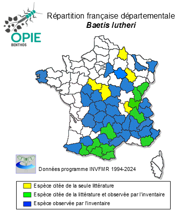 Carte de distribution de Baetis lutheri Müller-Liebenau, 1967