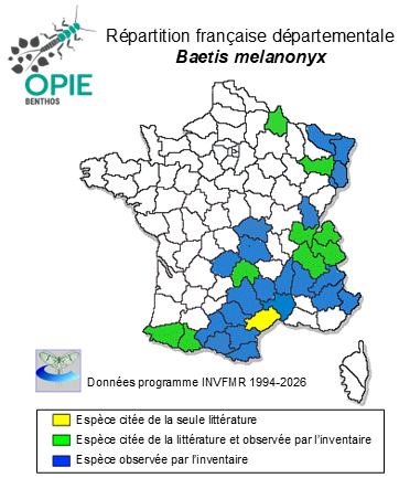 Carte de distribution de Baetis melanonyx (Pictet, 1843)