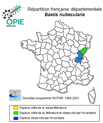 Carte de distribution de Baetis nubecularis Eaton, 1898