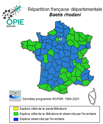 Carte de distribution de Baetis rhodani (Pictet, 1843)