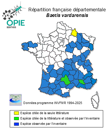 Carte de distribution de Baetis vardarensis Ikonomov, 1962
