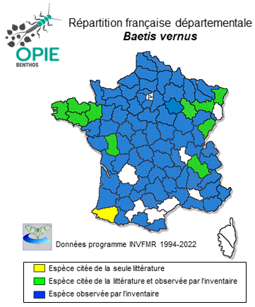 Carte de distribution de Baetis vernus Curtis, 1834