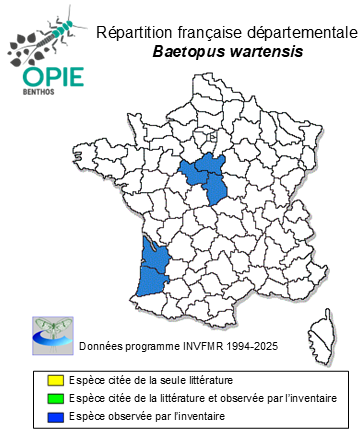 Carte de distribution de Baetopus wartensis Keffermüller, 1960