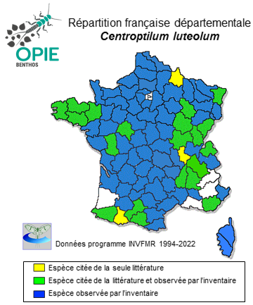Carte de distribution de Centroptilum luteolum (O.F. Müller, 1776)