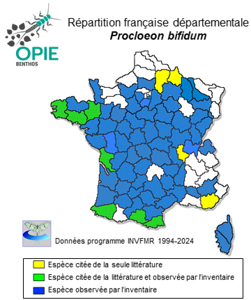 Carte de distribution de Procloeon bifidum (Bengtsson, 1912)