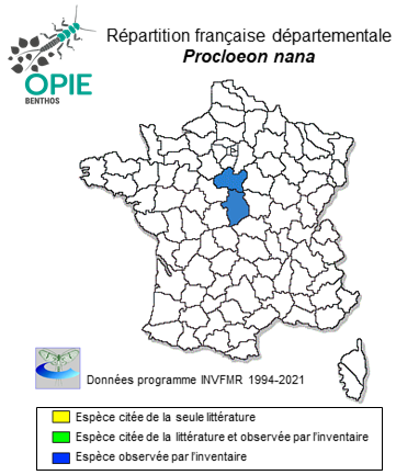 Carte de distribution de Procloeon nana (Bogoescu, 1951)