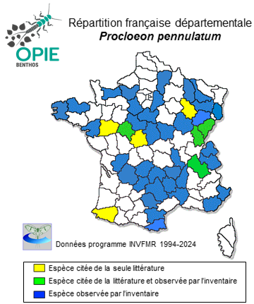 Carte de distribution de Procloeon pennulatum (Eaton, 1870)