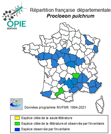 Carte de distribution de Procloeon pulchrum (Eaton, 1885)