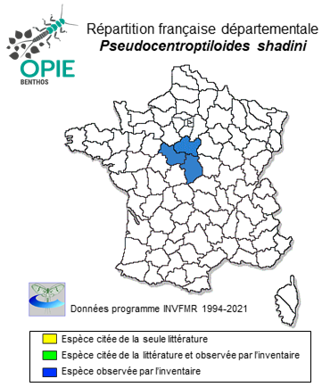 Carte de distribution de Pseudocentroptiloides shadini (Kazlauskas, 1964)