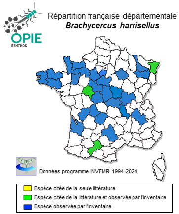 Carte de distribution de Brachycercus harrisellus Curtis, 1834