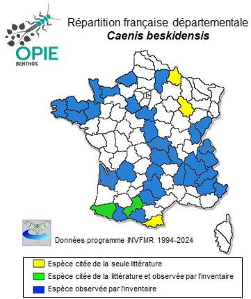 Carte de distribution de Caenis beskidensis Sowa, 1973