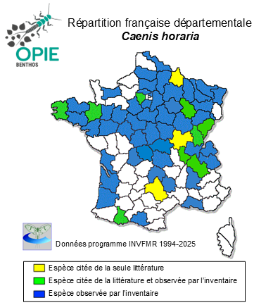Carte de distribution de Caenis horaria (Linnaeus, 1758)
