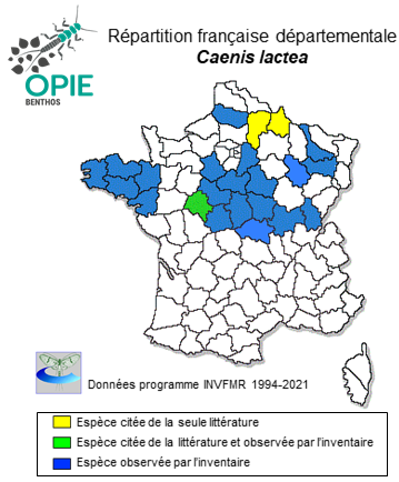Carte de distribution de Caenis lactea (Burmeister, 1839)
