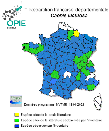 Carte de distribution de Caenis luctuosa (Burmeister, 1839)