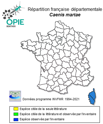 Carte de distribution de Caenis martae Belfiore, 1984