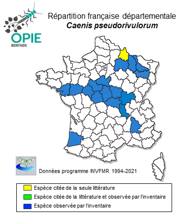 Carte de distribution de Caenis pseudorivulorum Keffermüller, 1960