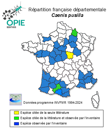 Carte de distribution de Caenis pusilla Navás, 1913