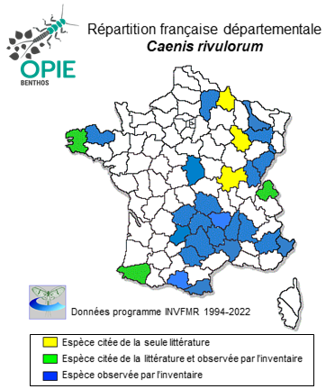 Carte de distribution de Caenis rivulorum Eaton, 1884
