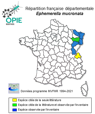 Carte de distribution de Ephemerella mucronata (Bengtsson, 1909)