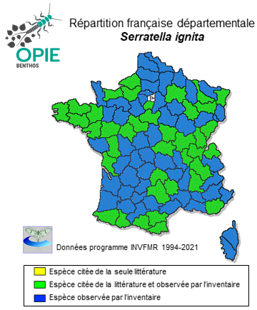 Carte de distribution de Serratella ignita (Poda, 1761)