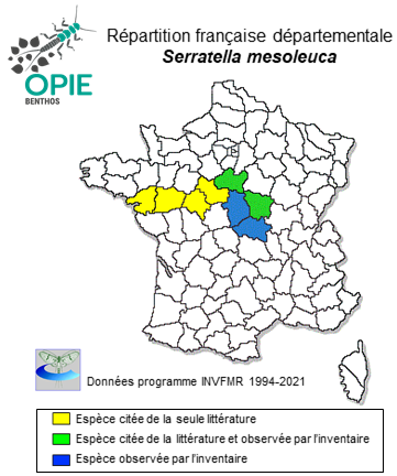Carte de distribution de Serratella mesoleuca (Brauer, 1857)