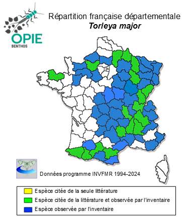 Carte de distribution de Torleya major (Klapálek, 1905)