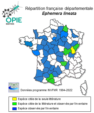 Carte de distribution de Ephemera lineata Eaton, 1870