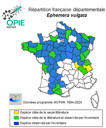 Carte de distribution de Ephemera vulgata Linnaeus, 1758