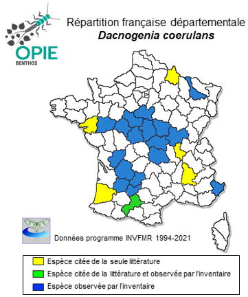 Carte de distribution de Dacnogenia coerulans (Rostock, 1878)