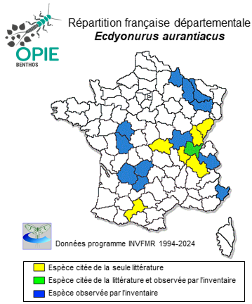 Carte de distribution de Ecdyonurus aurantiacus (Burmeister, 1839)