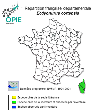 Carte de distribution de Ecdyonurus cortensis Belfiore, 1987