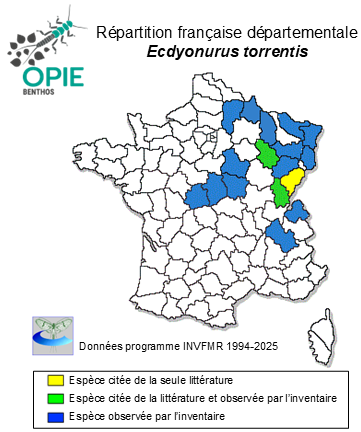Carte de distribution de Ecdyonurus torrentis Kimmins, 1942