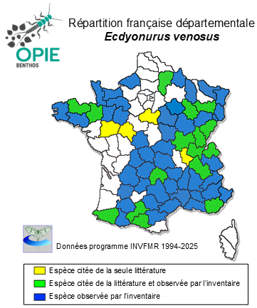 Carte de distribution de Ecdyonurus venosus (Fabricius, 1775)