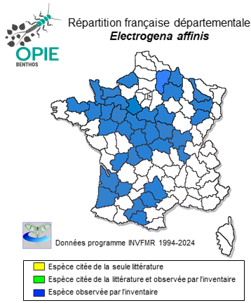 Carte de distribution de Electrogena affinis (Eaton, 1887)