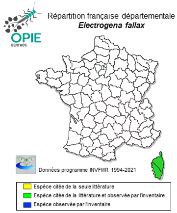 Carte de distribution de Electrogena fallax (Hagen, 1864)