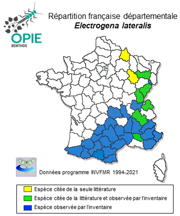 Carte de distribution de Electrogena lateralis (Curtis, 1834)