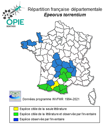 Carte de distribution de Epeorus torrentium Eaton, 1881