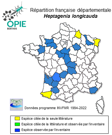Carte de distribution de Heptagenia longicauda (Stephens, 1836)