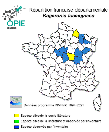 Carte de distribution de Kageronia fuscogrisea (Retzius, 1783)
