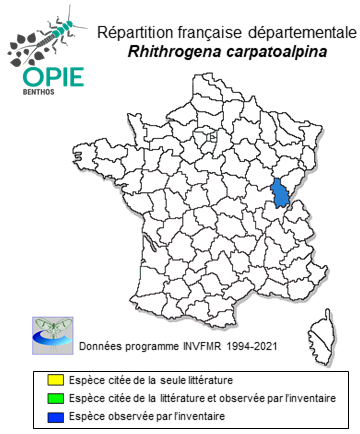 Carte de distribution de Rhithrogena carpatoalpina Klonowska, Olechowska, Sartori & Weichselbaumer, 1987